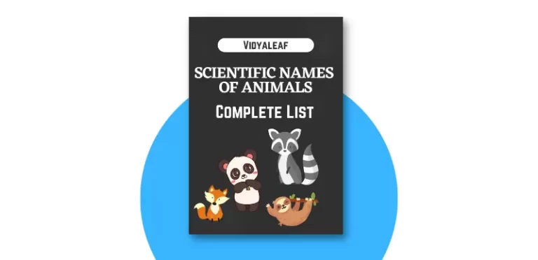 Complete List of Scientific Names of Animals PDF