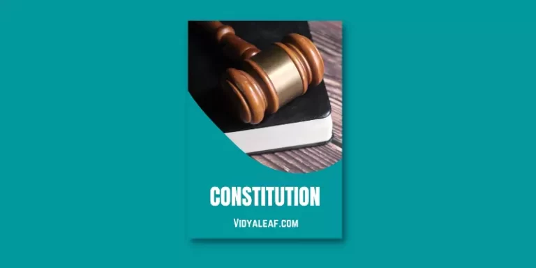Constitution - Theories, & Features