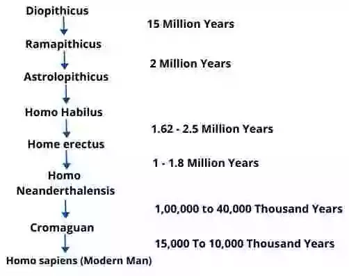 Early Evolution of Primates