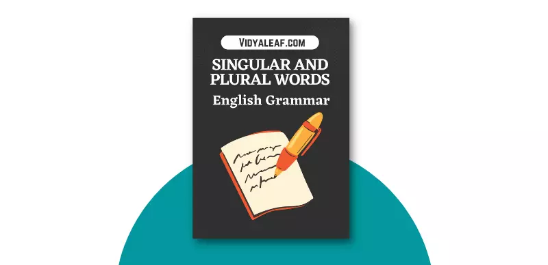 Singular And Plural Words List PDF Download Vidyaleaf