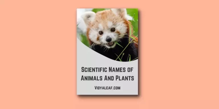 Scientific Names of Animals And Plants
