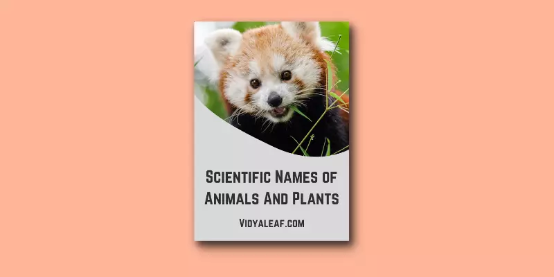 scientific-names-of-animals-and-plants-vidyaleaf